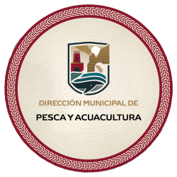 pesca